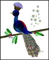 BP Bird
