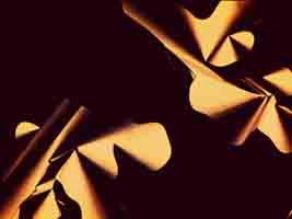 Batonnets
