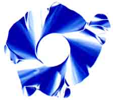 Buttonhole