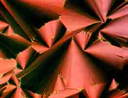 Pencil Shavings