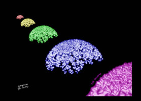 TGB Universe