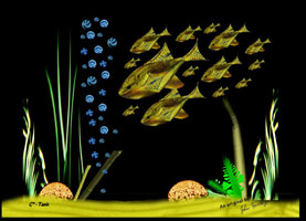 Fish Tank