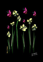 Flies and Flowers